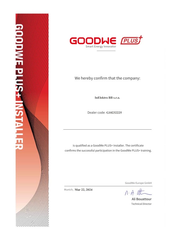 Goodwe G10232225